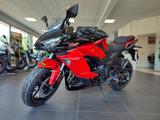 Kawasaki Ninja 1000 SX 40th. Anniversary - KAWASAKI NINJA 1000SX 40TH ANNIVERSARY