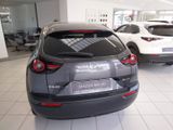 Mazda MX-30 e-SKYACTIV R-EV Ad'vantage KAMERA/NAVI/HUD - Mazda Vorführfahrzeuge