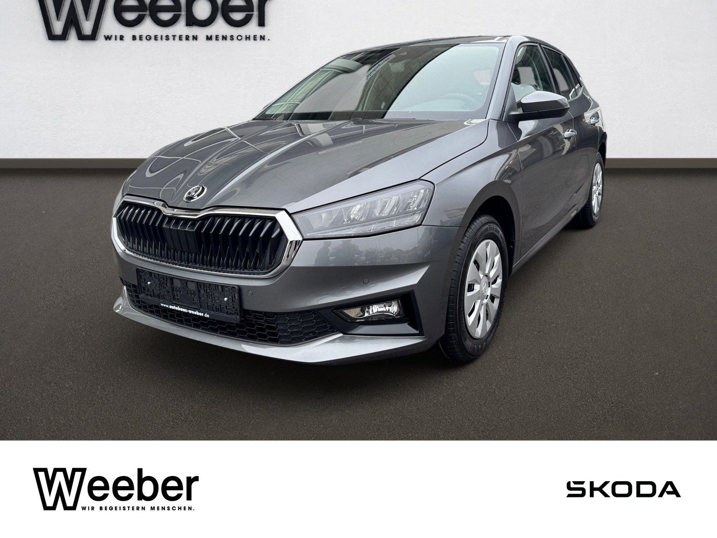 Skoda FABIA 1.0 TSI Selection AHK LED PDC Tempo