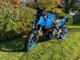 Suzuki GSX 8S 1. Hand - SUZUKI GSX 8S
