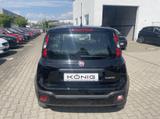 Fiat Panda Cross MY22 City Plus 1.0 GS - Fiat Panda in Leipzig