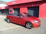 Volkswagen Golf VI 1.2 TSI Cabriolet KLIMA-SITZHEIZUNG - Volkswagen Golf: Rot, Cabrio