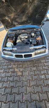 BMW 361 Compact - BMW 316 aus 1995: Compact
