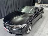 BMW 220d Cabrio M Sport|LEDER|NAVI|AUTOMATIK|AHK| - mit Diesel-Antrieb: Roadster
