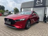 Mazda 3 SKYACTIV-G 2.0 M Hybrid - gebrauchte Mazda 3 aus dem Jahr 2019