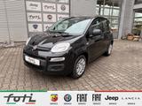 Fiat Panda 1.0 GSE 70PS Klima PDC DAB+ Radio - Fiat Panda: Schwarz