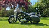 Harley-Davidson Sportster XL 1200 C - Harley-Davidson Motorräder in Lübeck