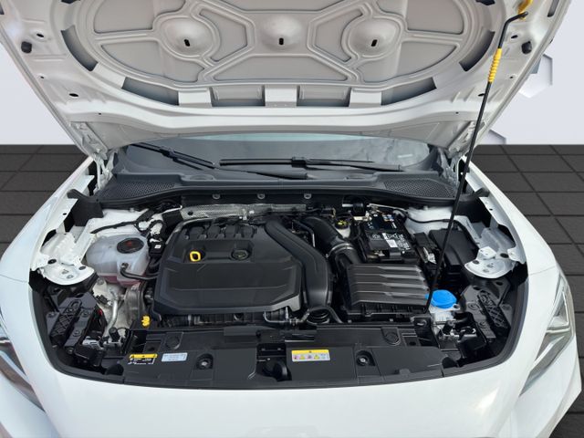 Formentor 1.5TSi 110kW 6 Gang GJR AHZV PDC Sitzh