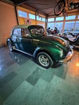 Volkswagen Käfer - Volkswagen Käfer: Grün