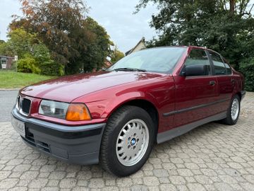 BMW 316 - 4