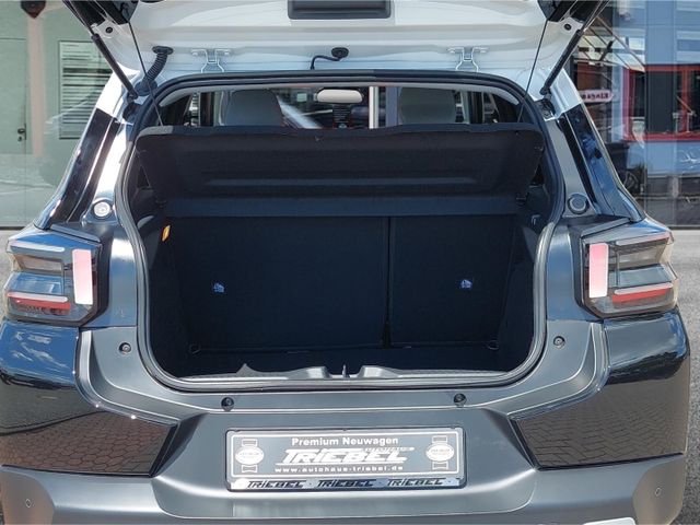 Citroën C3 Turbo 100 MAX HUD°Navi°LED°RFK°Winterpaket°