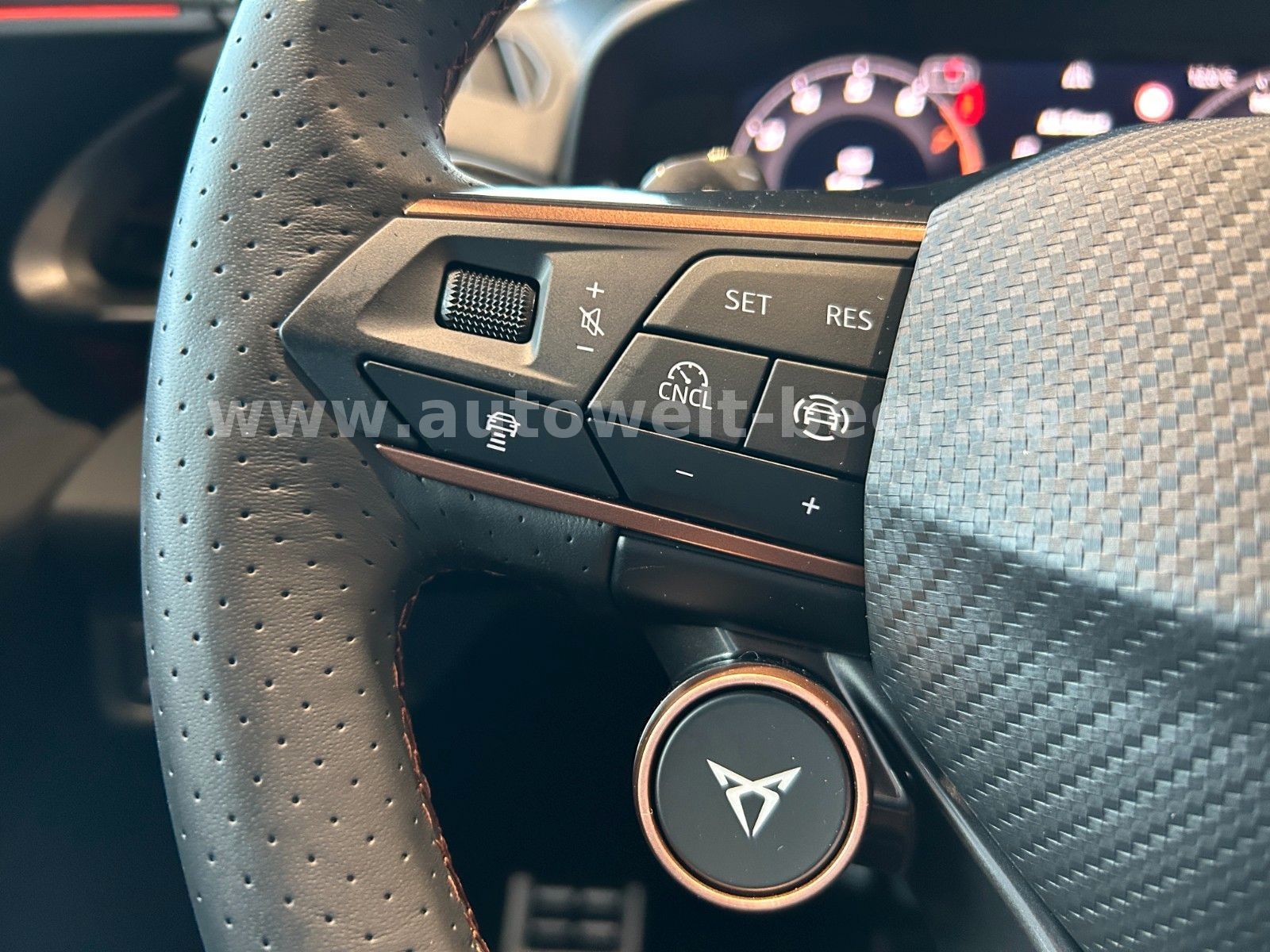 Cupra Terramar - Bild 7