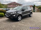 Ford EcoSport 1.0 EcoBoost 125 PS Cool & Connect