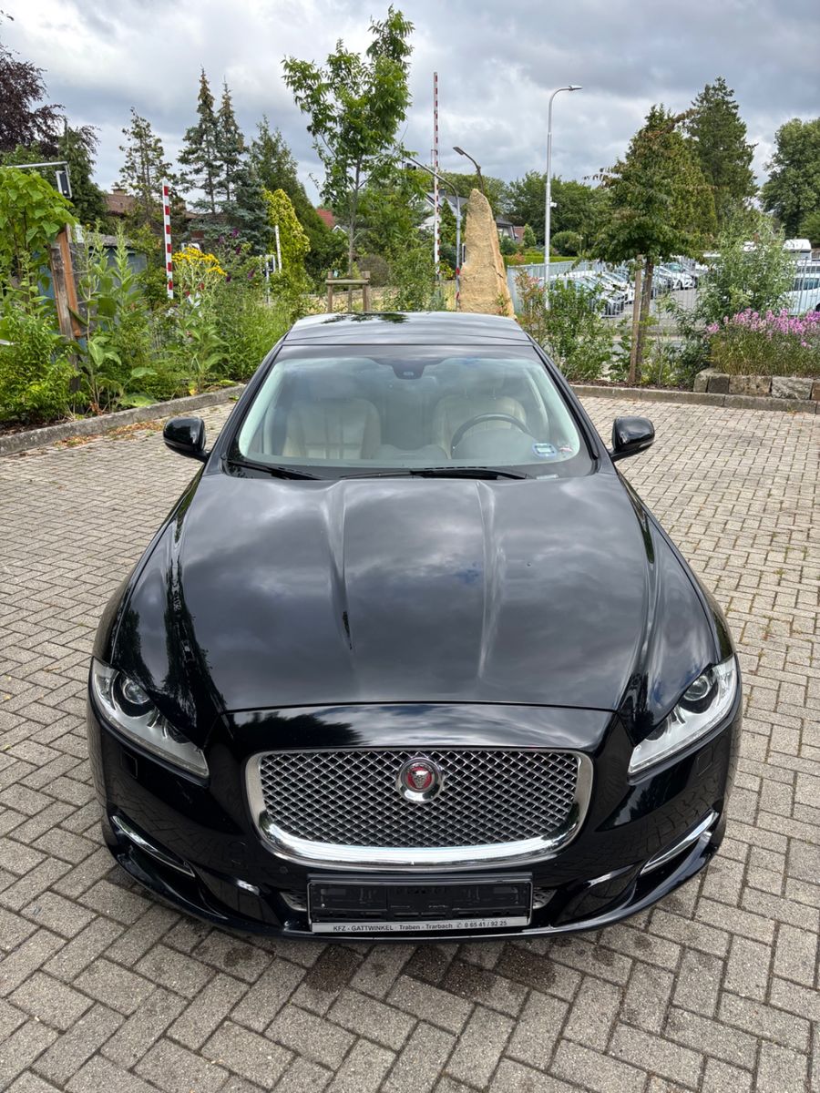 Foto 12 van JAGUAR XJ