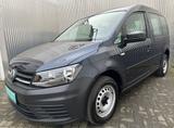 Volkswagen Caddy 1.4l Benzin/CNG Kasten/Camper 14.950 Netto - Volkswagen Caddy: Camper