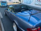 Mercedes-Benz 230 - Mercedes-Benz 230: Cabrio