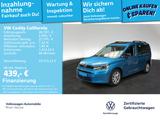 Volkswagen Caddy California 2.0 TDI Küchenmodul Panoramadac - VW Caddy in Ludwigshafen