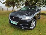 Jaguar F-Pace 20d AWD Chequered Flag Automatik Cheq... - Jaguar F-Pace Chequered-Flag