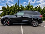 BMW X5 xDrive40d - M Sportpaket - BMW X5: Beige