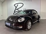 Volkswagen Beetle 50 S Design Edition/Leder/Scheckh/Klima - gebrauchte VW Beetle aus dem Jahr 2014