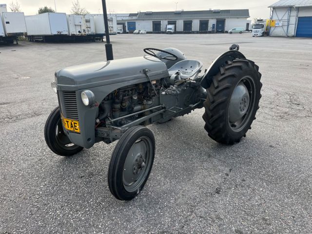 Massey Ferguson 1955 , in top condition,