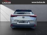 Lexus UX 250h STYLE*FWD*EDITION*FACELIFT*LED*CARPLAY*G - Lexus UX aus 2022