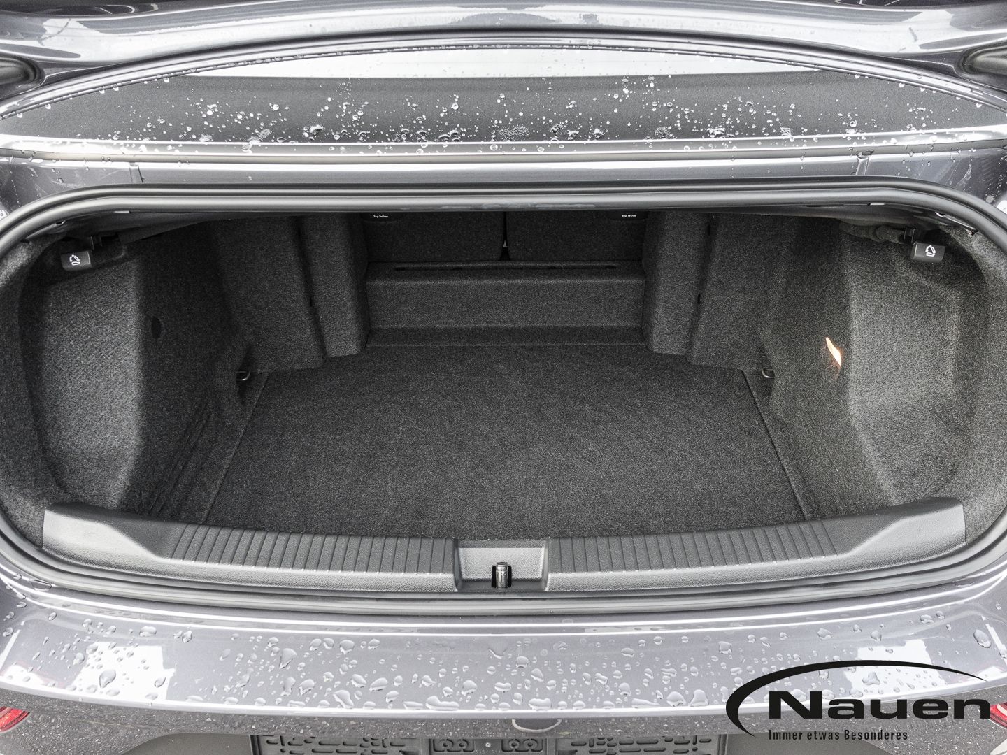 Volkswagen T-Roc - Bild 20