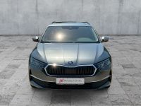 Skoda Octavia - Vorschau Bild 2