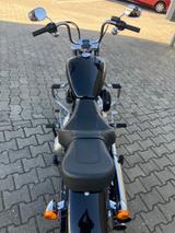 Harley-Davidson Softail Standard - Offers