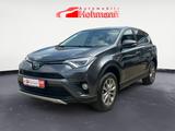 Toyota RAV4 Team D AHK - gebrauchte Toyota RAV 4 aus dem Jahr 2018