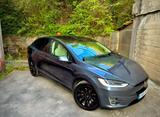 Tesla Model X 100D - - Tesla Model X von privat