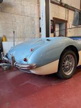 Austin Healey BN4 Vollrestauration - Austin Healey: Bn4