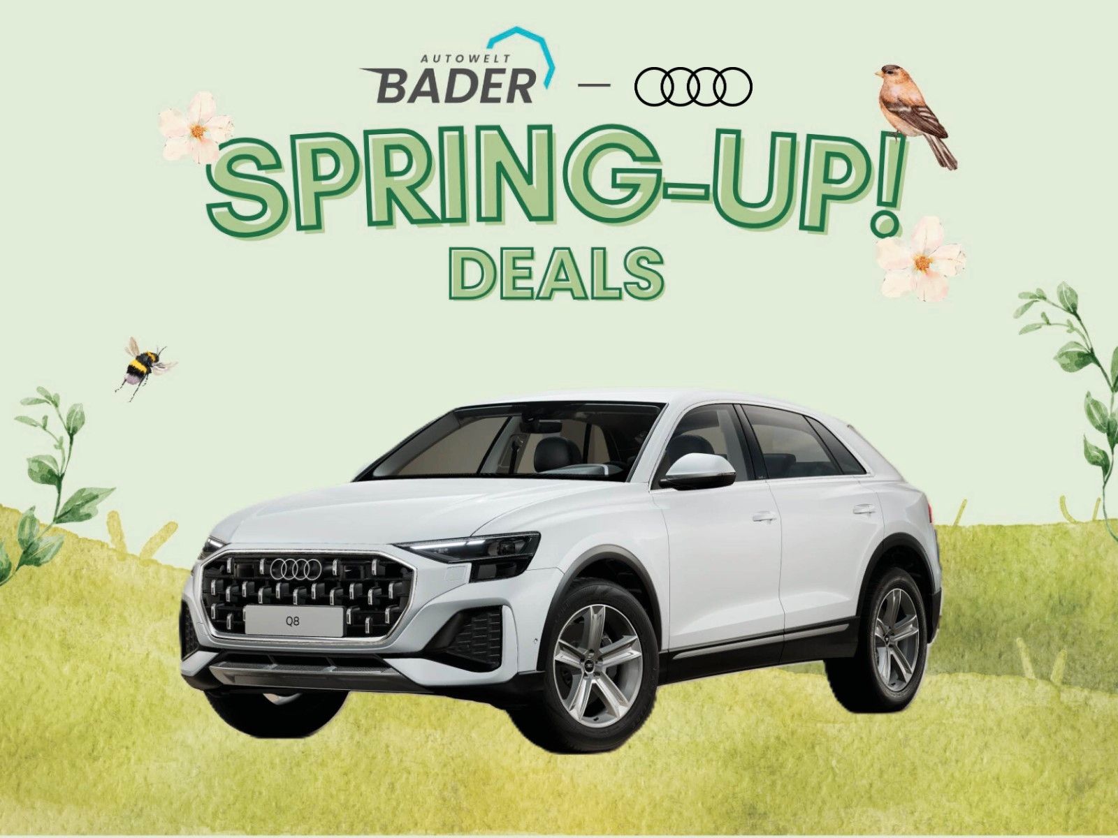 Audi Q8 SUV TDI quattro "Spring-Up" AUTOWELT-BADER!