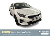Kia XCeed Platinum Edition 1.6 GDI DCT6 OPF - Kia XCeed Platinum mit Hybrid-Antrieb (Benzin/Elektro)