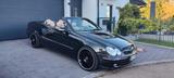 Mercedes-Benz CLK 320 Elegance Cabrio Designo Paket W209 A209 - Mercedes-Benz CLK-Klasse A209