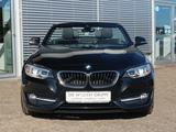 BMW 220i Cabrio Sport Line BUSINESS PROF PDC XENON - BMW 2 Series: Cabrio