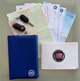 Fiat Panda  4x4 Rock Climbing 1. Hand 1.3 16V M-Jet K - Fiat Panda: 1.1
