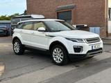 Land Rover Range Rover Evoque 2.0 TD4 Pure Zahnriemen neu - Land Rover Range Rover Evoque mit Diesel-Antrieb: Geländewagen, Td4 Pure