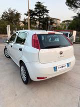 Fiat Punto 1.3 MJT II S&S 95 CV 5 porte - Fiat Punto: 1.9