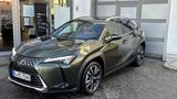 Lexus UX 300h 2,0 HEV FWD EXECUTIVE *Premium*GHD* - gebrauchte Lexus Kleinwagen