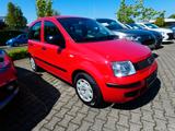 Fiat Panda 1.2 8V Classic ,,Klima" - rote Fiat New Panda
