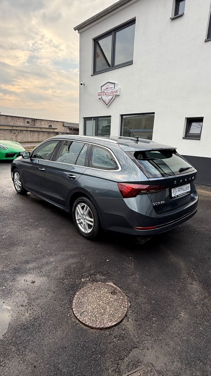 Fahrzeugabbildung SKODA Octavia Combi First Edition