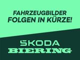 Skoda Kamiq 1.0 TSI Essence - Skoda Kamiq: Essence