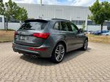 Audi SQ5 3.0 TDI plus tiptronic quattro - - Audi SQ5 in Frankfurt (Main)