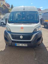 Weinsberg Carabus 600 K | 2023 | 2.2 Mjet | EURO 6d temp - Weinsberg Kastenwagen