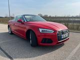 Audi A5 40 TDI S tronic quattro Cabriolet - gebraucht - Audi A5: Rot, Cabrio