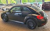 Volkswagen New Beetle - VW New Beetle von privat