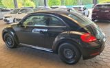 Volkswagen New Beetle - Volkswagen New Beetle mit Benzin-Antrieb: Limousine