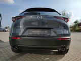 Mazda CX-30 Exclusive BOSE Matrix 360° Klimaaut Tempom - mit Benzin-Antrieb: Pickup