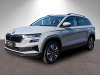 Skoda Karoq - Vorschau Bild 2